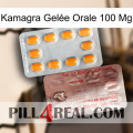 Kamagra Gelée Orale 100 Mg new13